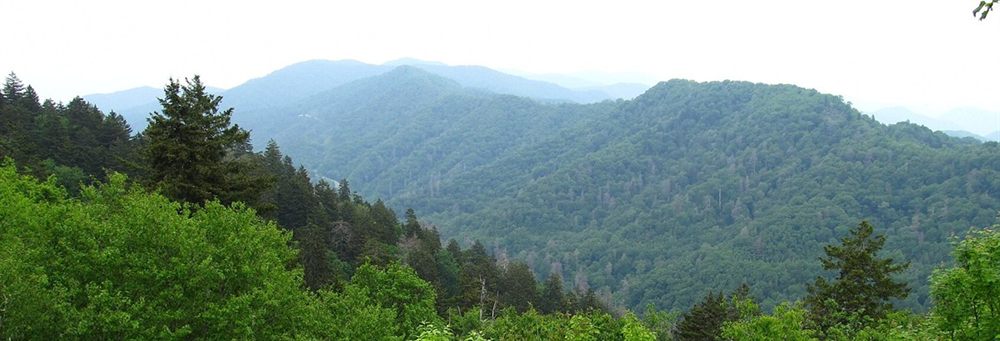 大烟山局部:层叠山脊